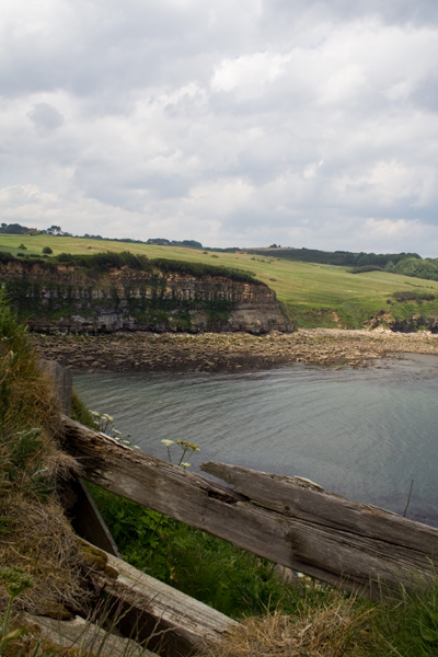 Cliffs north of Scarborough, 2011